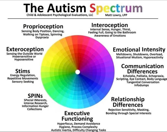 Image showing the autism spectrum on a colour wheel