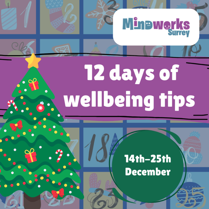 12 days of wellbeing tips - 14th to the 25th December